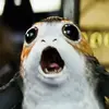 Martin Prokop - @martinprokop4 - TikTok