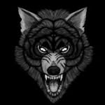 Martin Prokop - @wraith_of_dark_wolf - Instagram