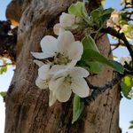Martin Prout - @martin.prout.5 - Instagram