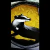 bayley martin pyke - @therealhufflepuff - TikTok