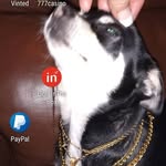 Martine Rainey - @martine.rainey - Instagram