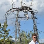Martin Ramey - @mgold9311 - Instagram