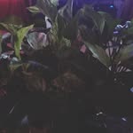 martin real - @martinreal2 - Instagram