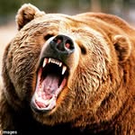 Martin Realey - @martinrealey - Instagram