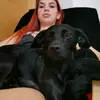 Vitória Martins - @martinsreall - TikTok