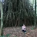 Er Martin Gunawan - @martin.reddendream77 - Instagram