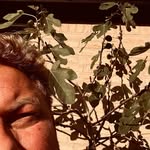 Martin Rodenberg larsen - @martin_rodenberg - Instagram