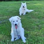 Martin Rolfes - @martin_rolfes - Instagram