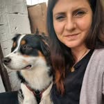 Hundeschule Martin Rütter Oldenburg Nicole Günther - @martin_ruetter_oldenburg - Instagram