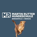 Martin Rütter Hundeschule Birkenfeld / Merzig - @martinruetter_birkenfeld_mzg - Instagram