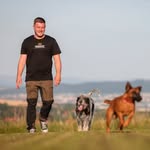 Martin Rütter Hundeschule Göttingen/Northeim - @martinruetter_goettingen_nom - Instagram