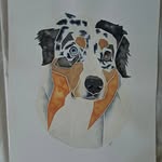 Martin Rütter Hundeschule Kiel - @martinruetter_hundeschule_kiel - Instagram