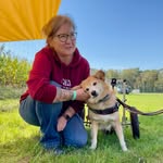 Martin Rütter Hundeschule Lüneburg / Buxtehude - @nicoleschanze_mr - Instagram