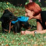 Martin Rütter Hundeschule Stuttgart - @martin_ruetter_stuttgart - Instagram