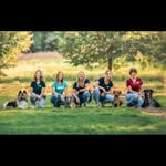 Martin Rütter Hundeschule Würzburg/Main-Tauber-Kreis - @mrhundeschule.wuerzburg - Instagram