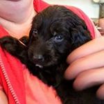 Martin Ryder - @martinryder - Instagram