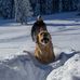 Martin Schauer - Facebook