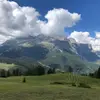 Martin Schaus - @martinschaus - TikTok