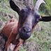 Martin Schott - Facebook