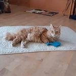 Martin Seitz - @martin.seitz.104 - Instagram