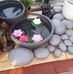 Martine Sicard - Facebook