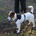 Martine Sicard - Facebook