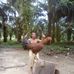 Martin Sigman - Facebook