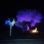 martin six - @mart14776 - Instagram