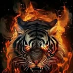 Martin Solano - Facebook