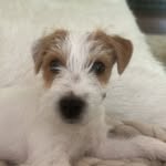 Ingrid Martin Somerville - @myboyoliver2023 - Instagram