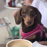 Martine Somerville - @martinesomerville - Instagram