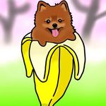 𝐌𝐚𝐫𝐭𝐢𝐧 𝐒𝐩𝐢𝐭𝐳 🐾🐕 - @martinpompet - Instagram