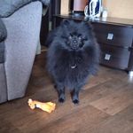 @_martin_spitz - Instagram