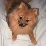 Martin - @martin._.spitz - Instagram