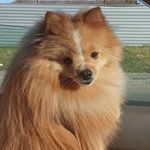 Martin_spitz - @lovely_martin_spitz - Instagram