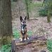 Martina Spitz - Facebook