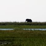 Martin Steed - @martinesteed - Instagram