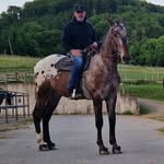 Martin Steffens - @steffens3527 - Instagram