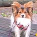 Martina Steffens - Facebook