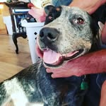 Martin Stull - @marty_stull - Instagram