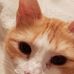 Martine Stumpf - Facebook