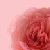 Martin Summers - Facebook