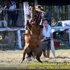 Martin Tabarez - @martin.tabarez61 - TikTok