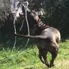 Martin Clavijo Taber - @martinclavijotaberna - TikTok