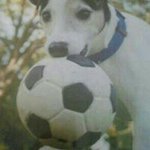 Martin Tanner - @martintanner1 - Instagram