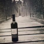 Martin Tanner-Bernardini - @tannerweine - Instagram