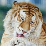 Martin Mendoza Tarango - @martin_mendoza_tarango - Instagram