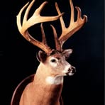 Martin Thibodeaux - Facebook