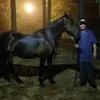 Martin Thibodeaux - @martin.thibodeaux - TikTok