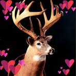Martin Thibodeaux - Facebook